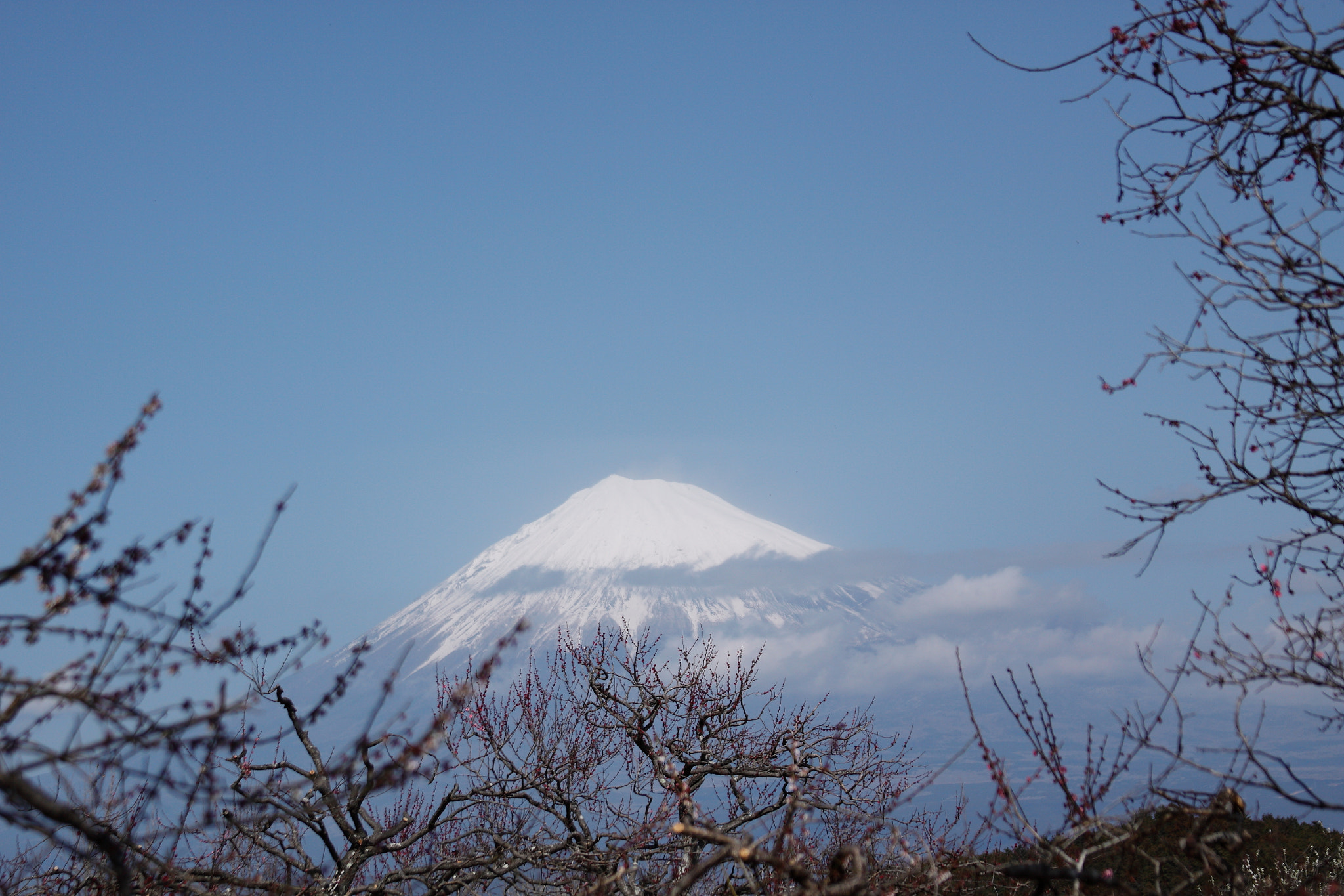 Canon EF 28-135mm F3.5-5.6 IS USM sample photo. Iwamoto mountain park photography