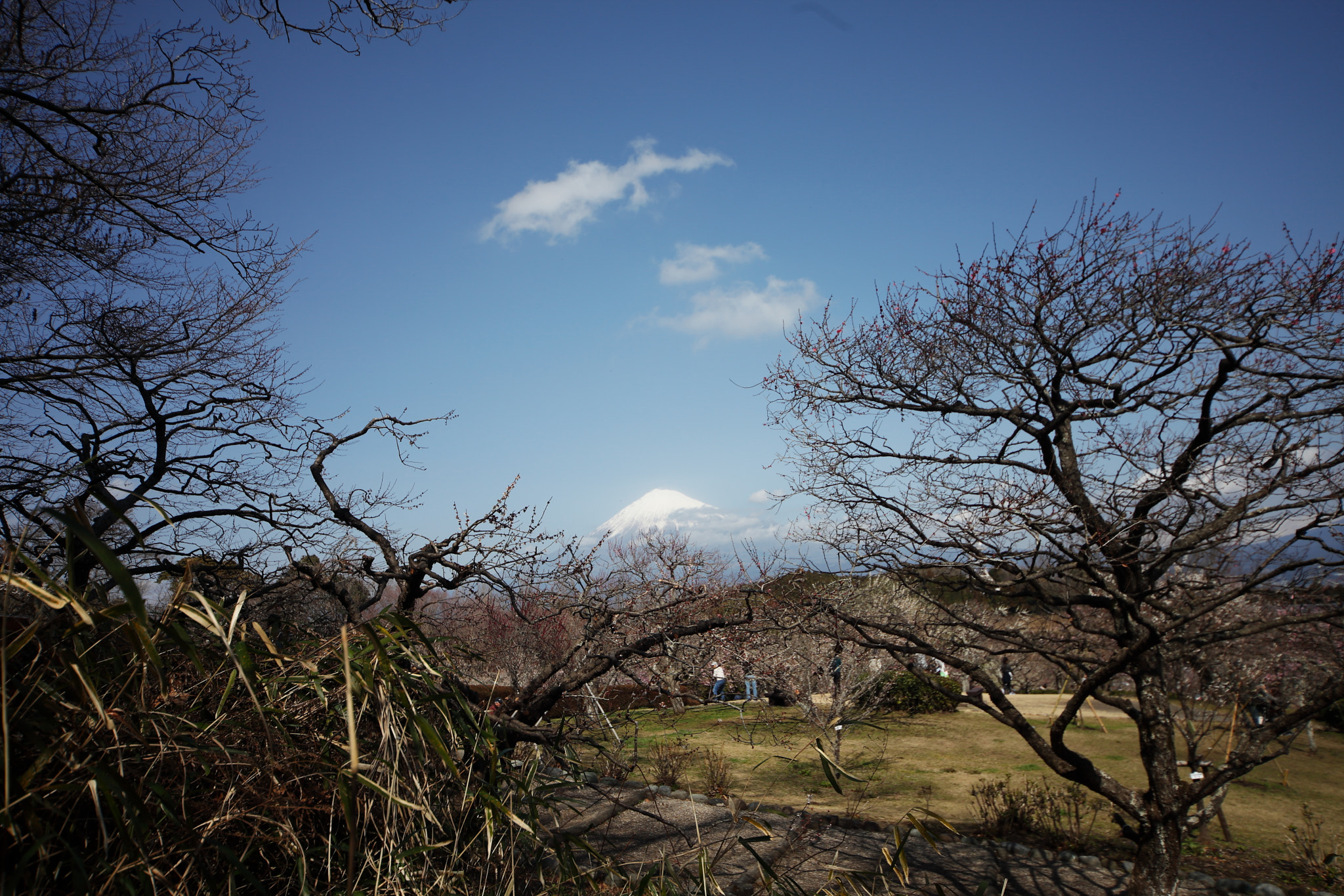 Canon EOS 5D Mark II sample photo. Iwamoto mountain park photography
