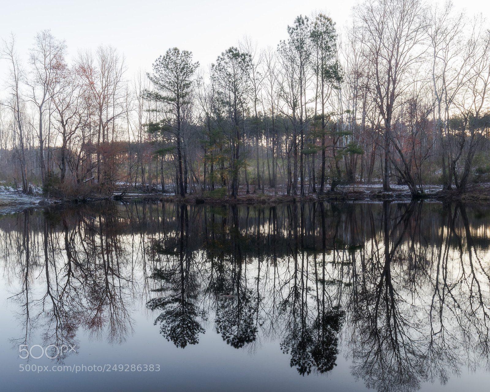 Canon EOS-1D X Mark II sample photo. Reflections in the pond photography