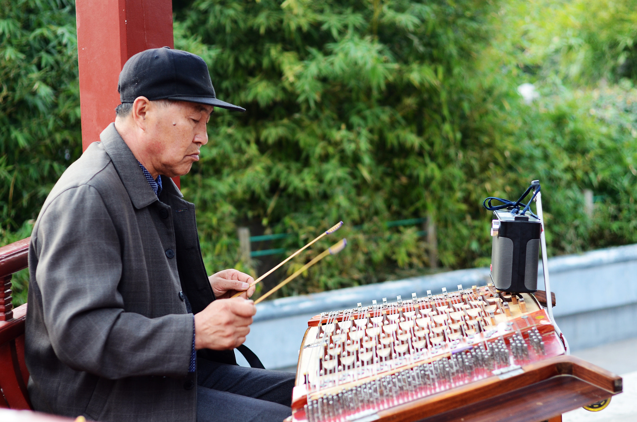 Nikon D7000 + Nikon AF Nikkor 50mm F1.8D sample photo. Dulcimer photography