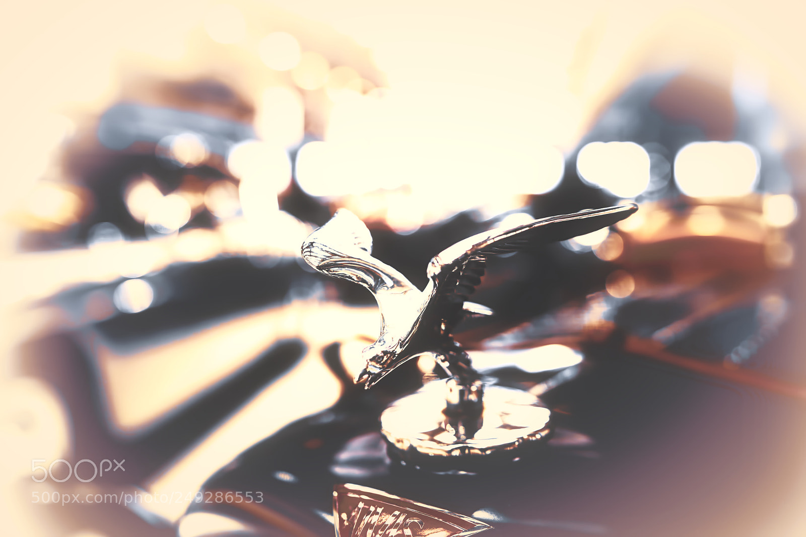 Sony a7R III sample photo. Alvis  emblem bird eagle photography