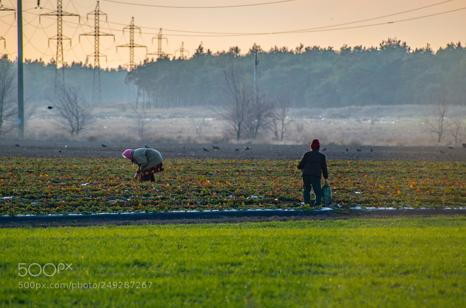Pentax K-30 sample photo. Working people photography