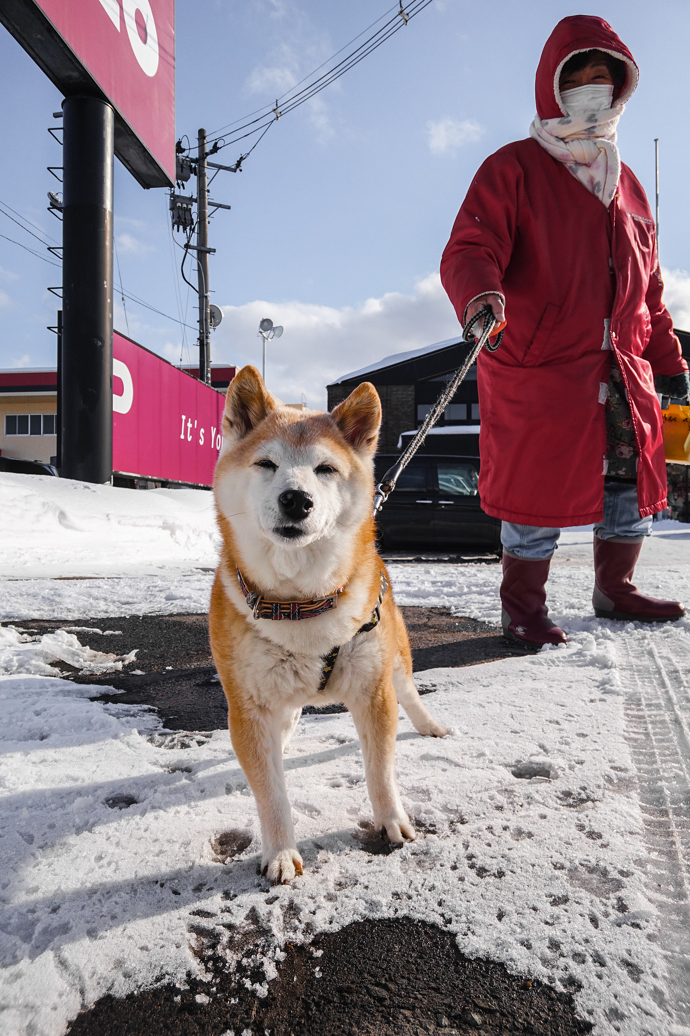 Sony DSC-RX0 sample photo. Shiba photography