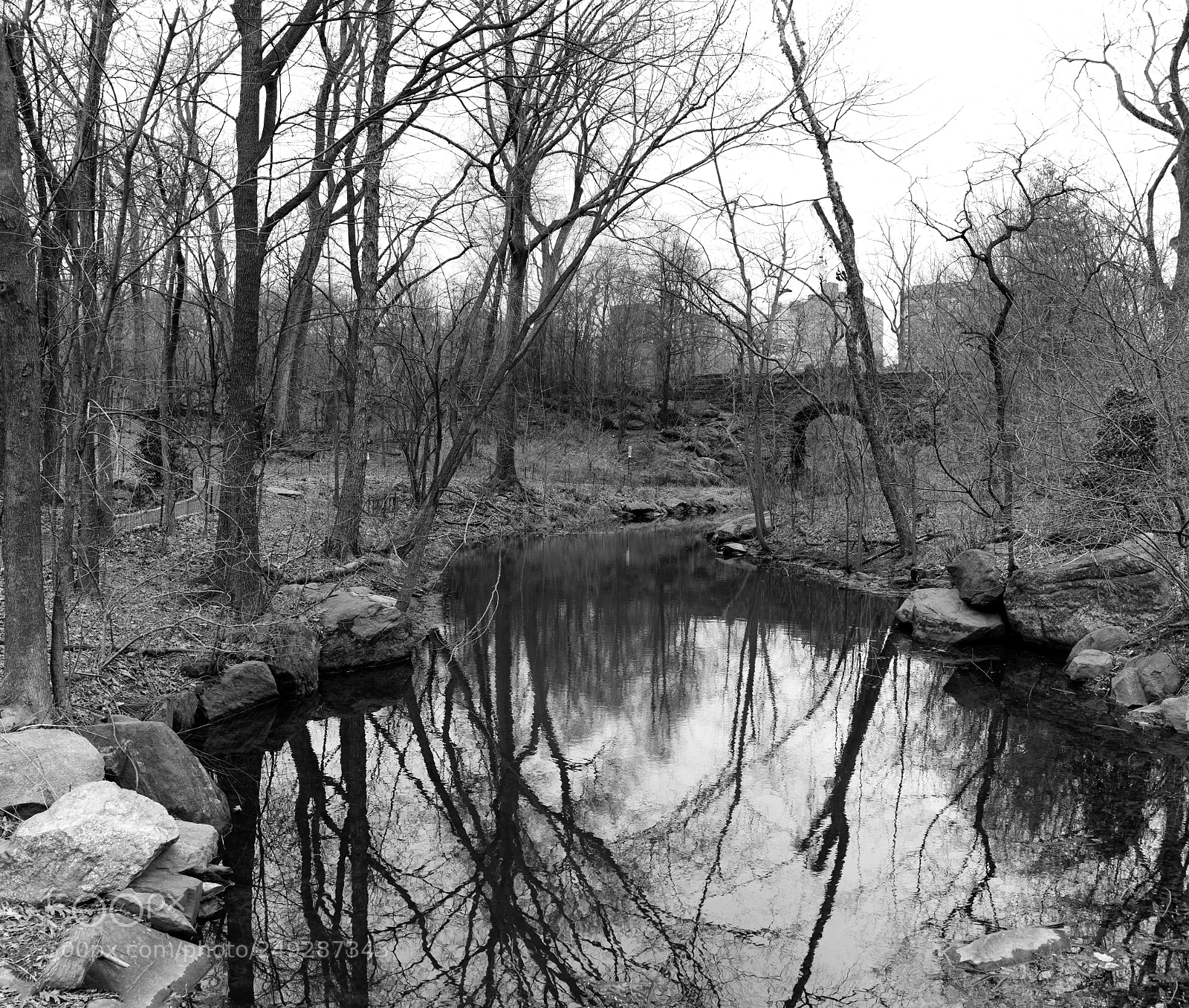 Sony a7R II sample photo. Central park ravine photography