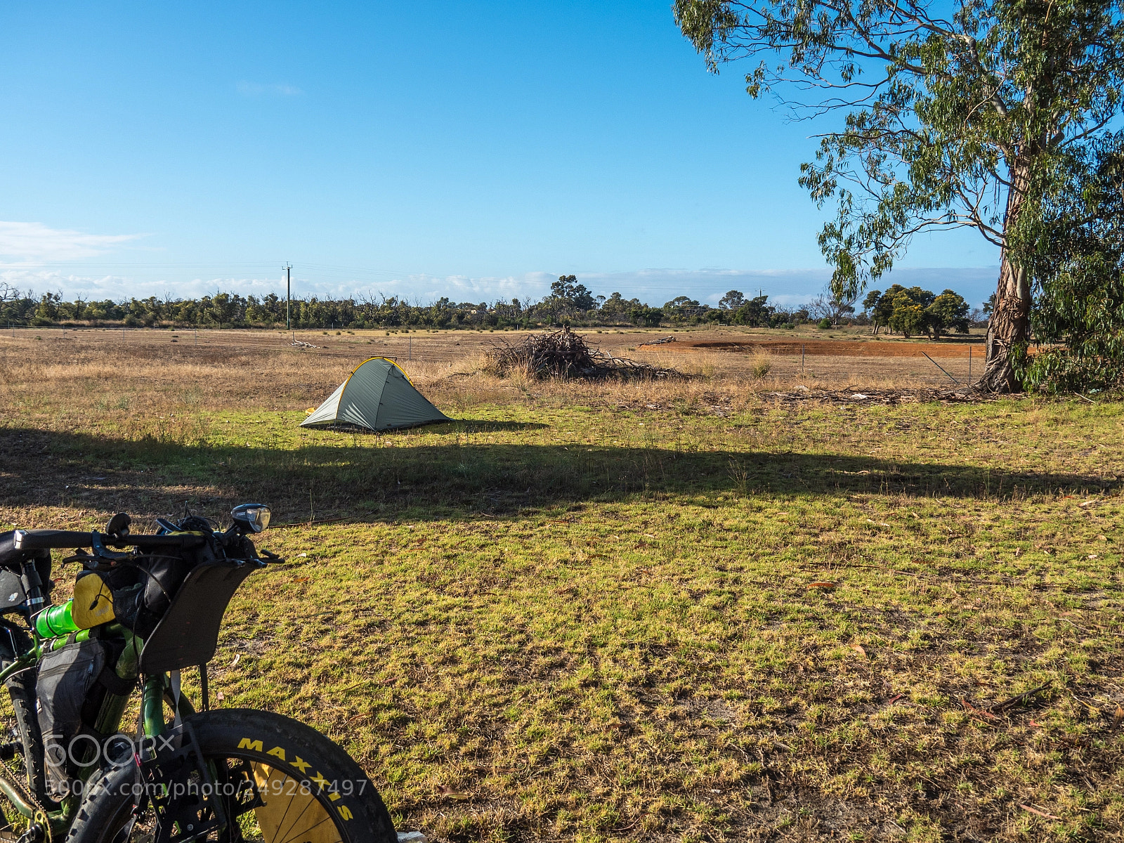 Olympus OM-D E-M5 II sample photo. Wellstead bush camp photography