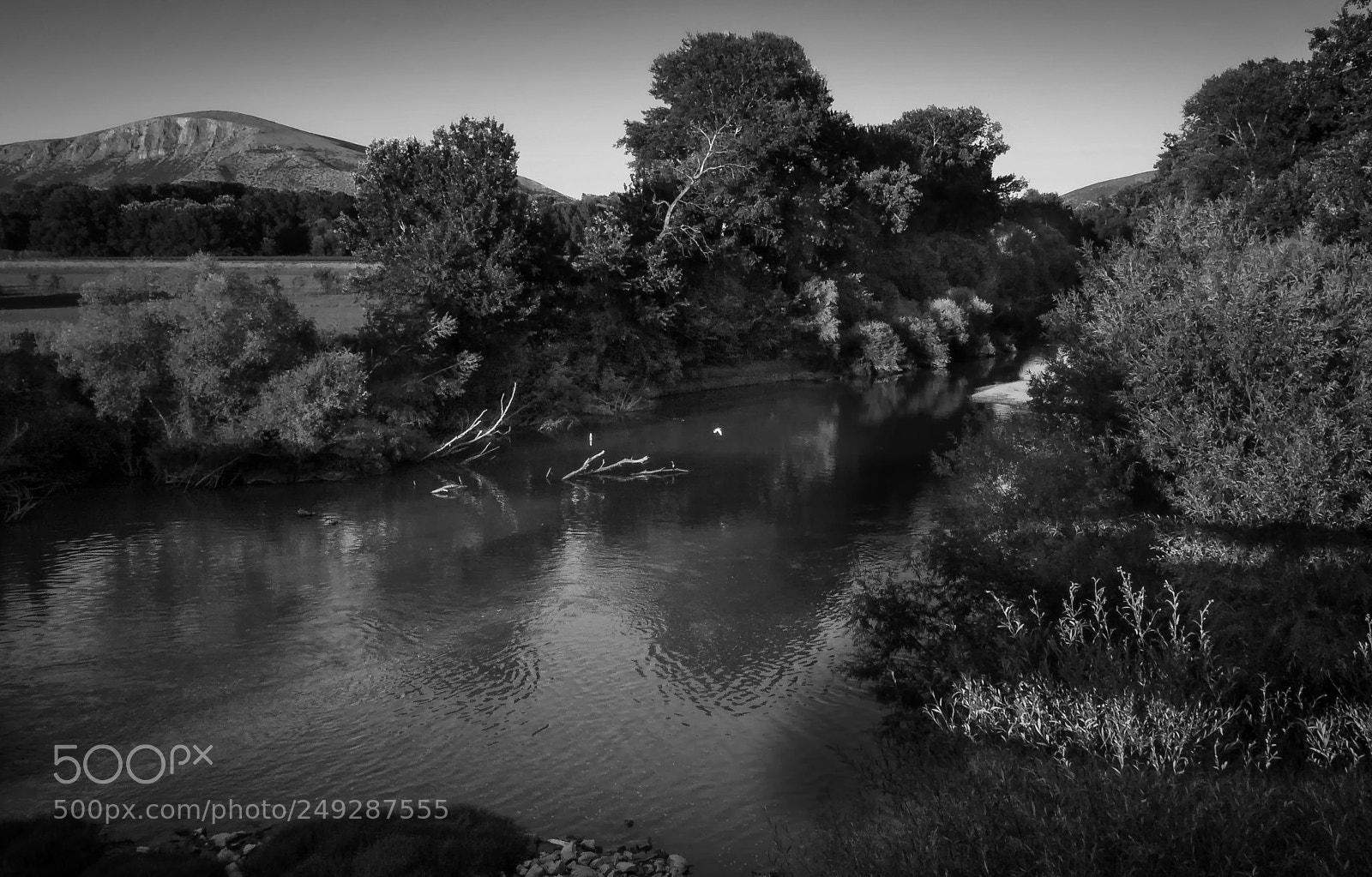 Olympus PEN E-PL6 sample photo. Down by the river photography