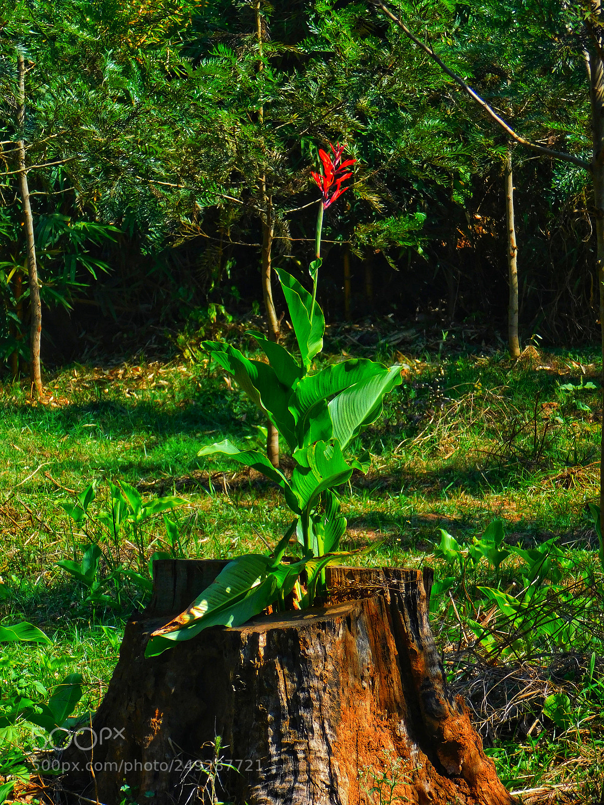 Nikon Coolpix L840 sample photo. Untitled photography