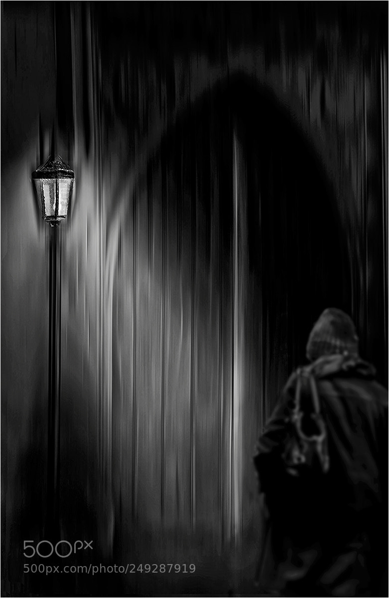 Nikon D300 sample photo. The guiding light b photography