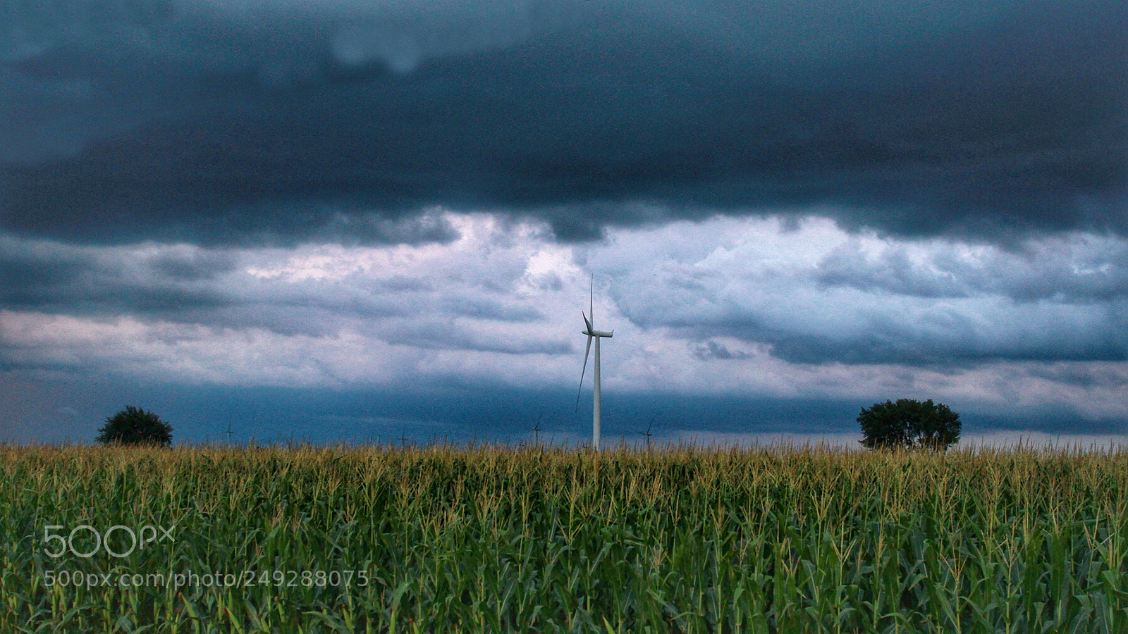 Canon EOS 7D sample photo. Farmland photography