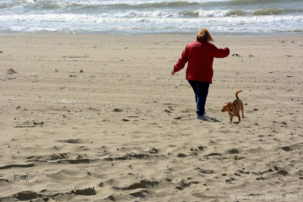 Nikon D5200 sample photo. Il mare d'inverno (1) photography
