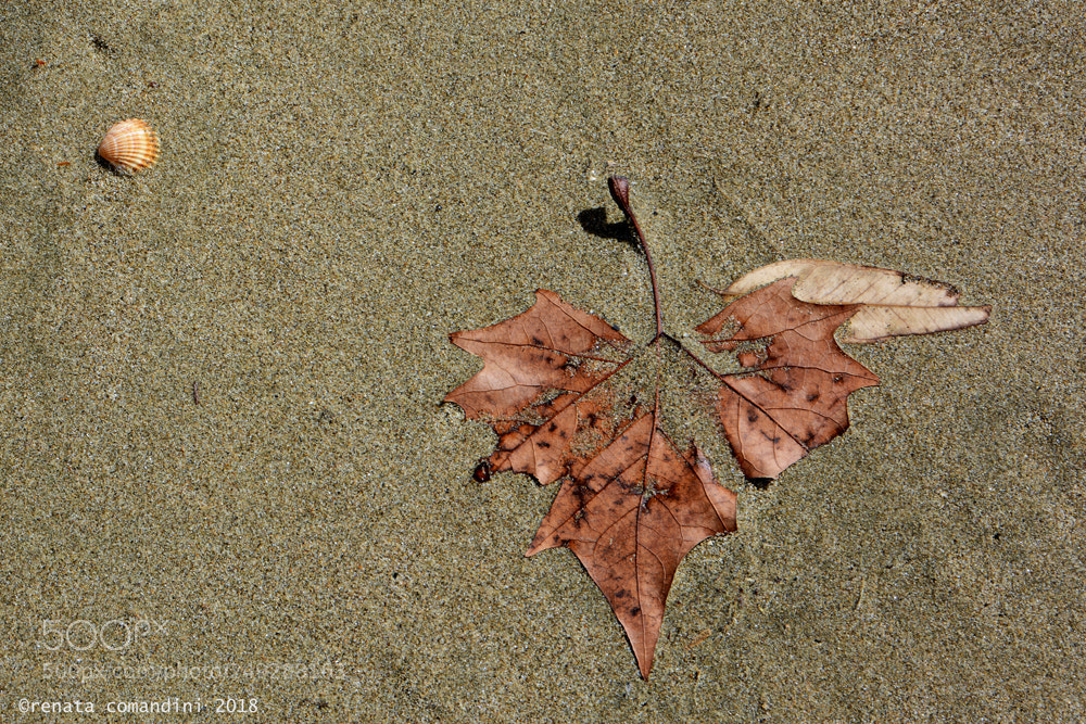 Nikon D5200 sample photo. Il mare d'inverno (2) photography