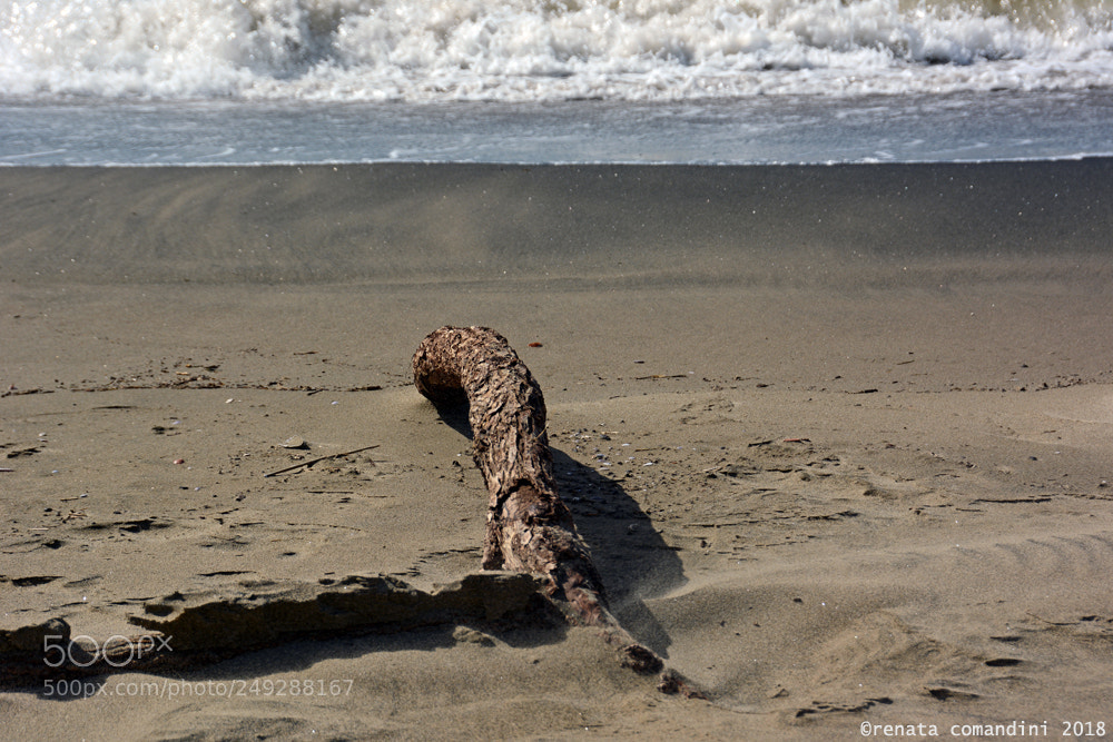Nikon D5200 sample photo. Il mare d'inverno (3) photography
