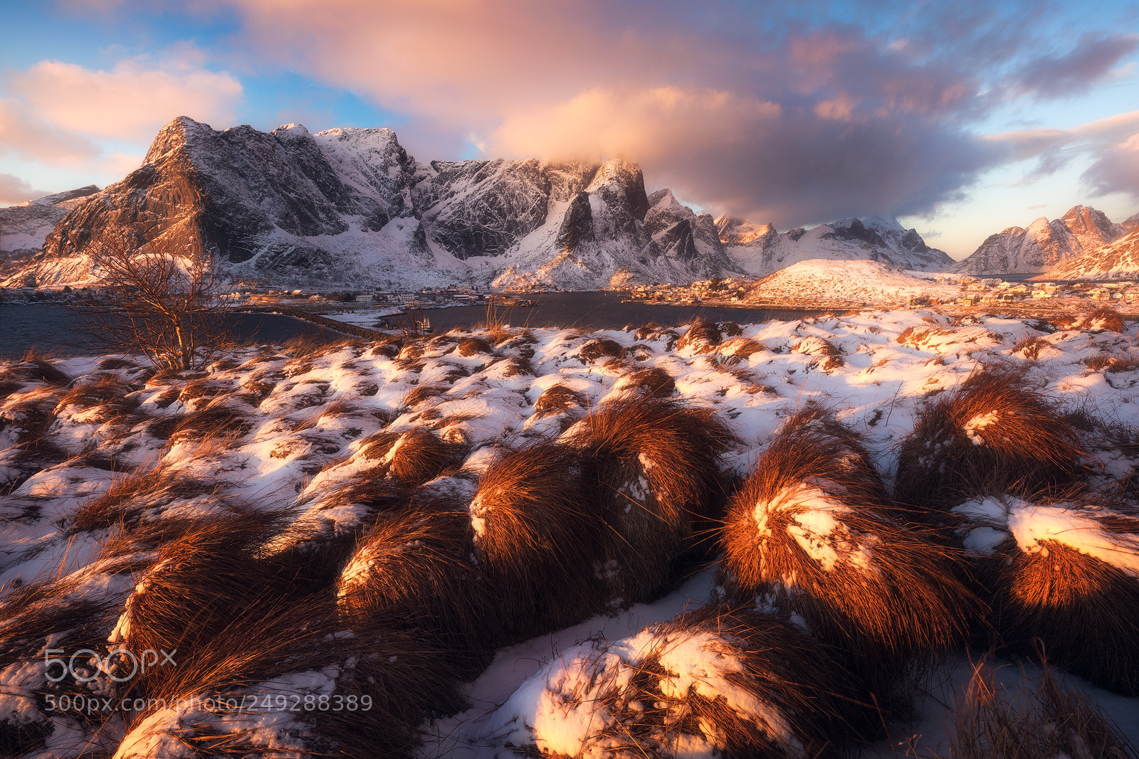 Canon EOS 5D Mark IV sample photo. Golden winter morning photography
