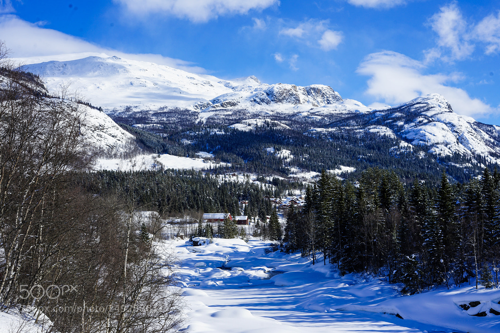 Sony a7 II sample photo. River hemsil photography