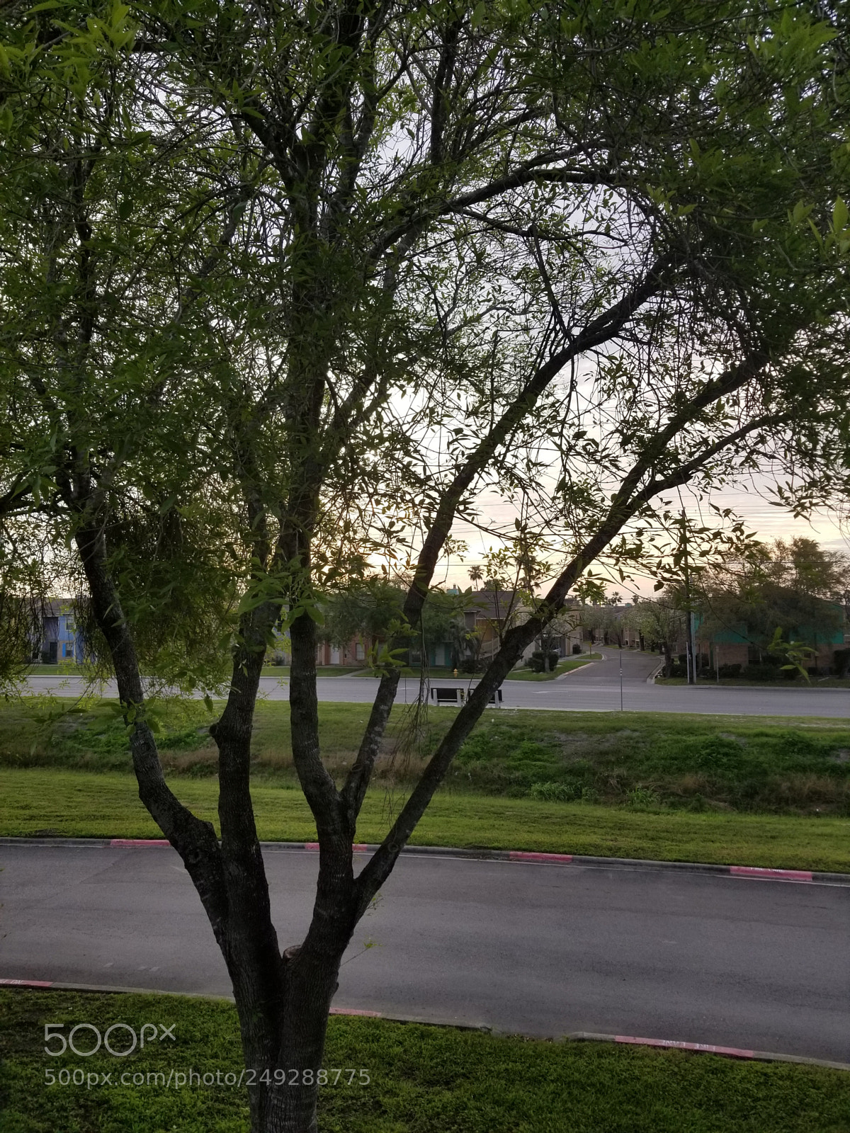 Samsung Galaxy S8 sample photo. Untitled photography