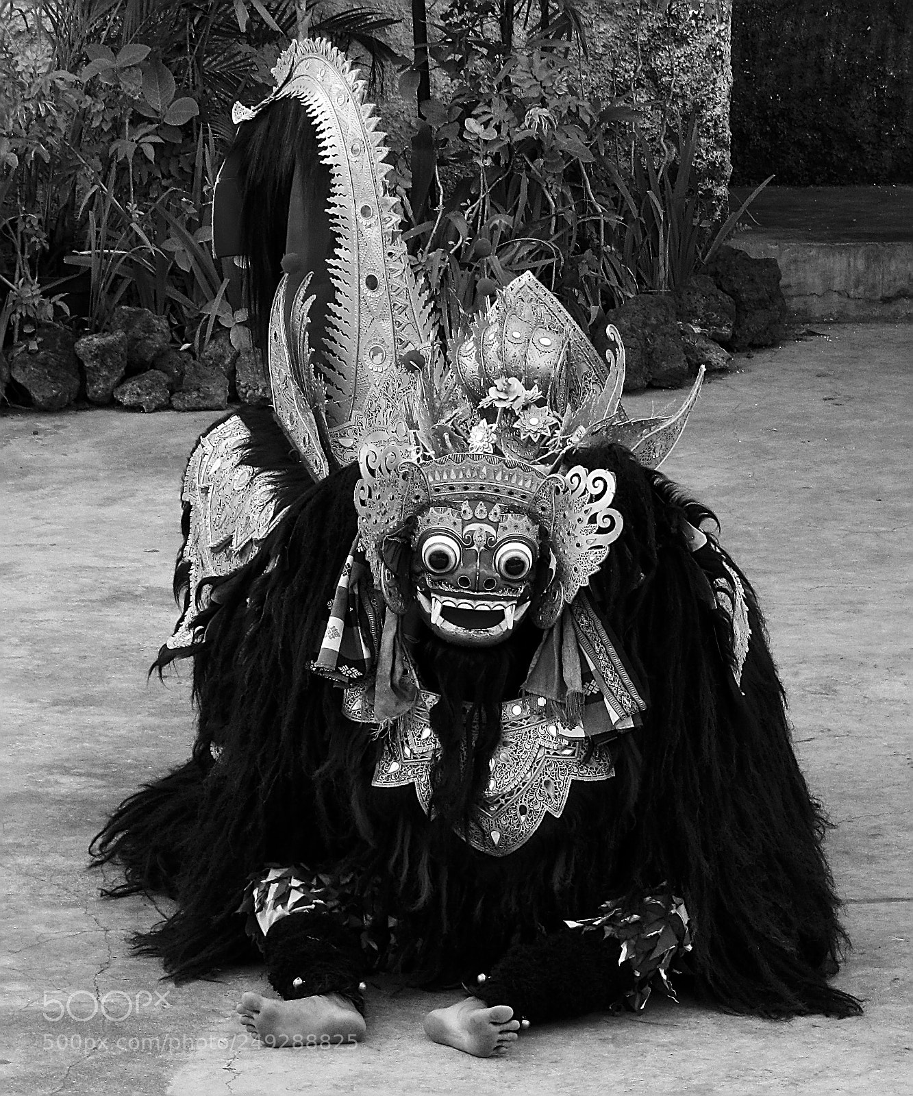 Canon PowerShot SX20 IS sample photo. Barong photography