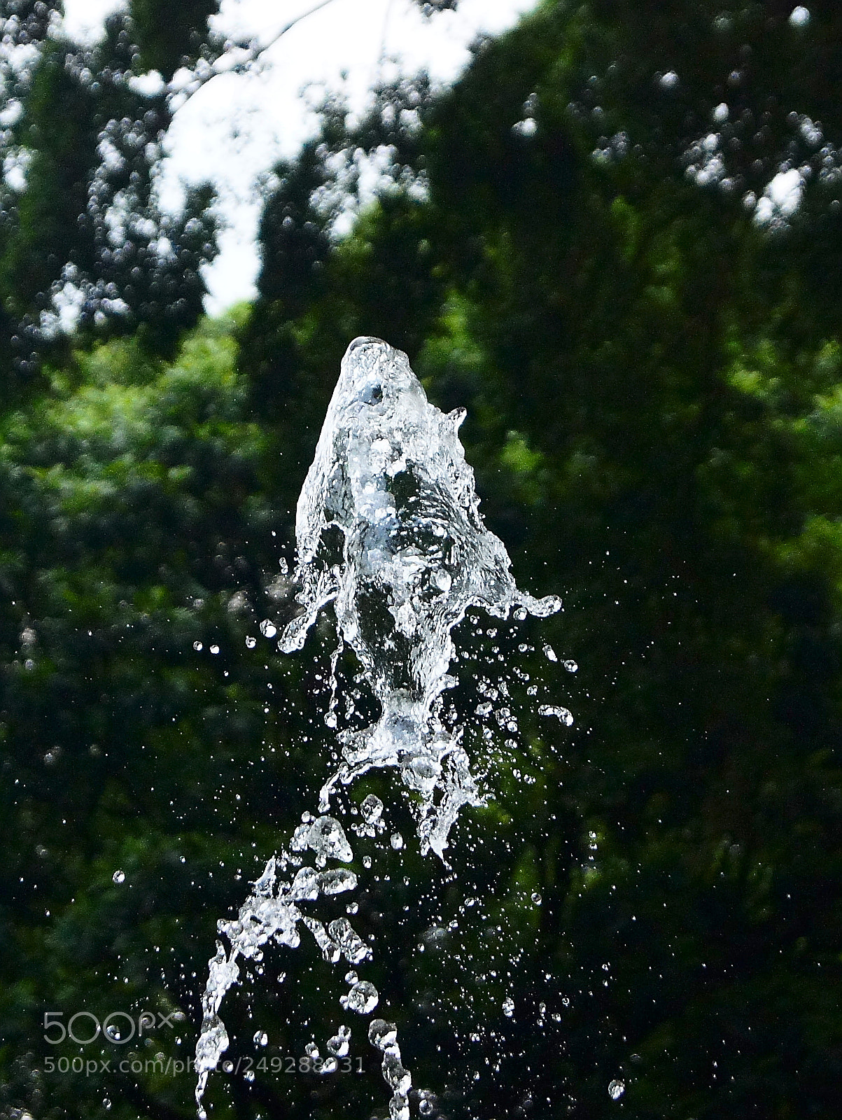 Sony SLT-A33 sample photo. Water bending photography
