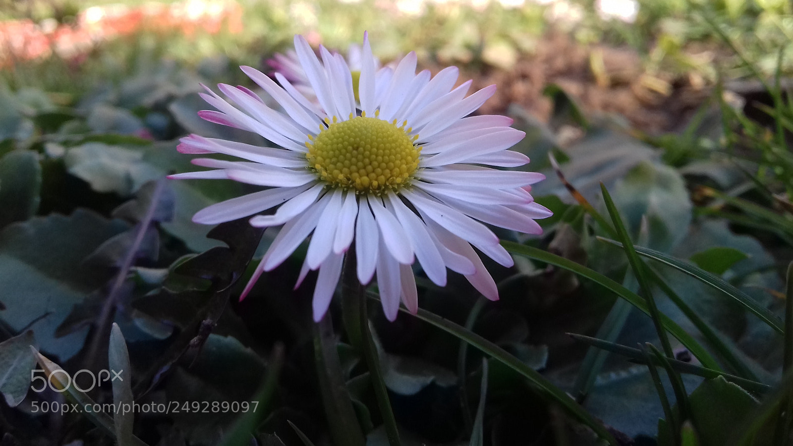 Samsung Galaxy J3(2016) sample photo. ? photography