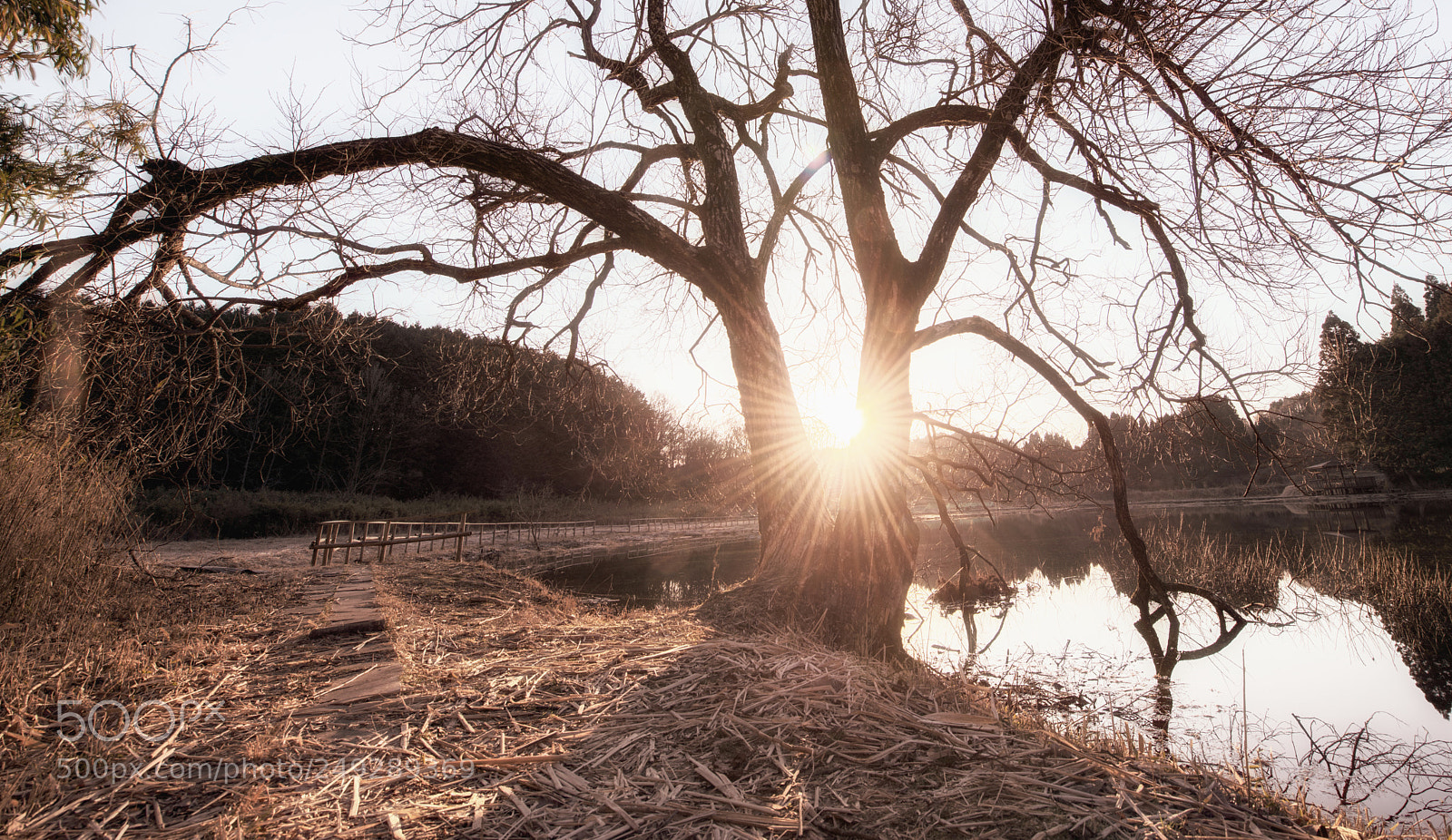 Nikon D800E sample photo. Morning light photography