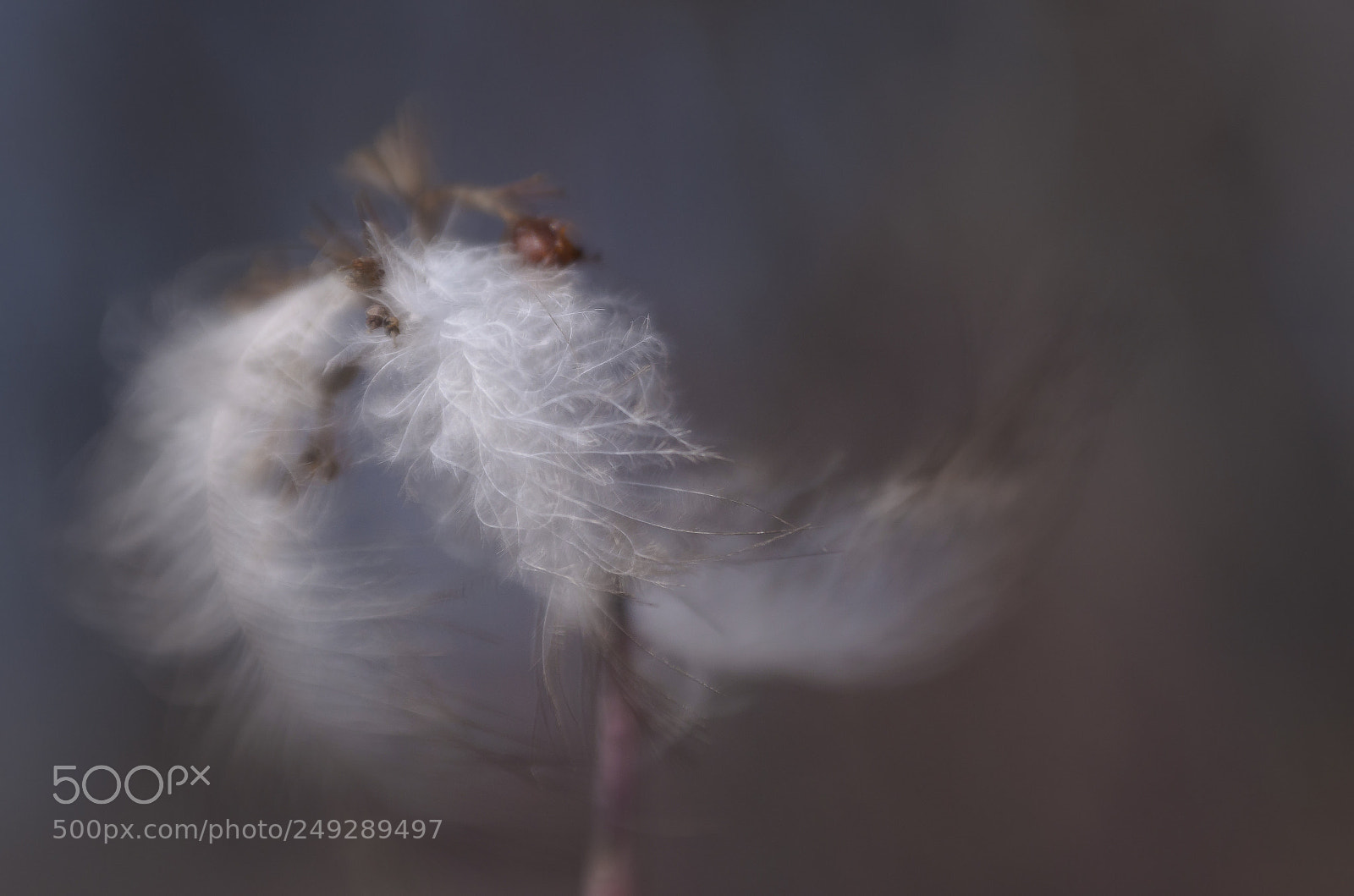 Nikon D7000 sample photo. Wild and wind blown photography