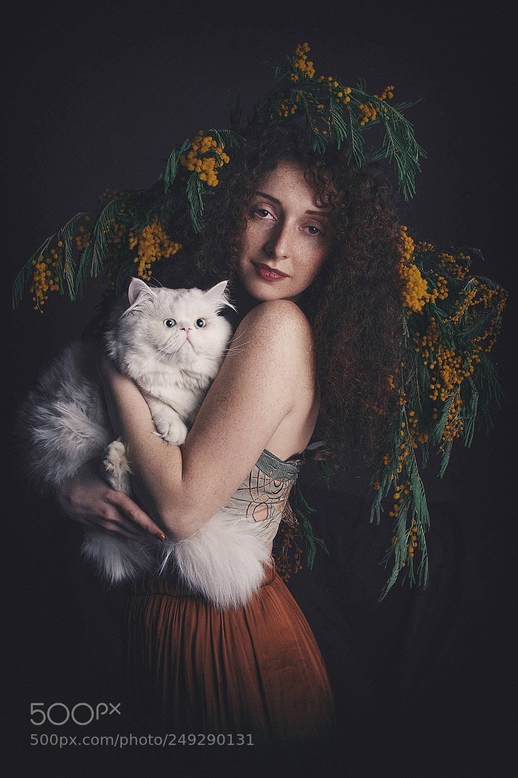 Nikon D7100 sample photo. Girl  with  cat photography