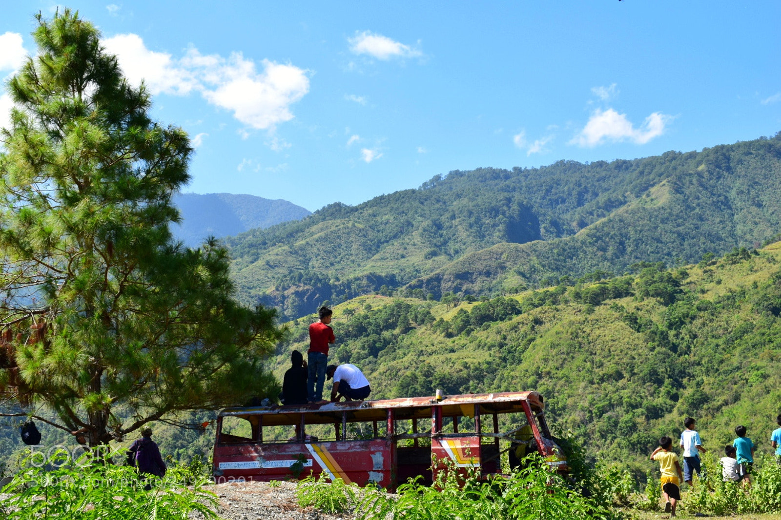 Nikon D5300 sample photo. Stuck photography