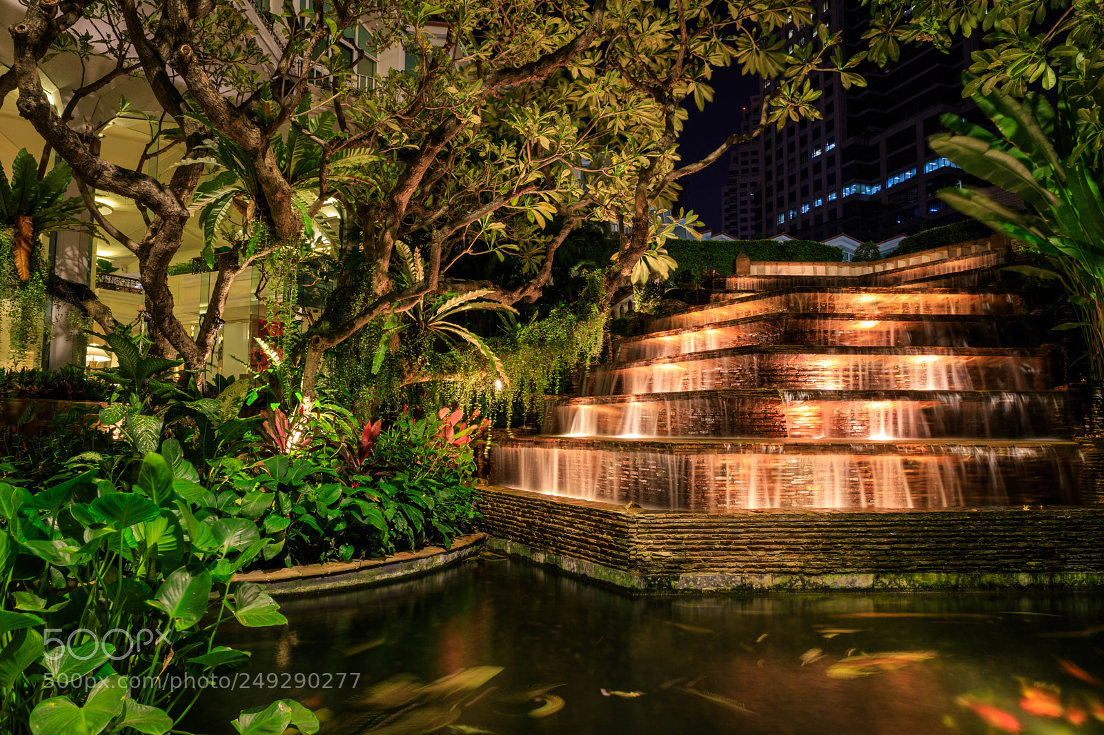 Canon EOS 6D Mark II sample photo. Garden of mystique  photography