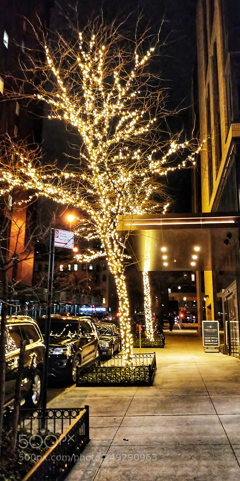 OnePlus 5T sample photo. Untitled photography
