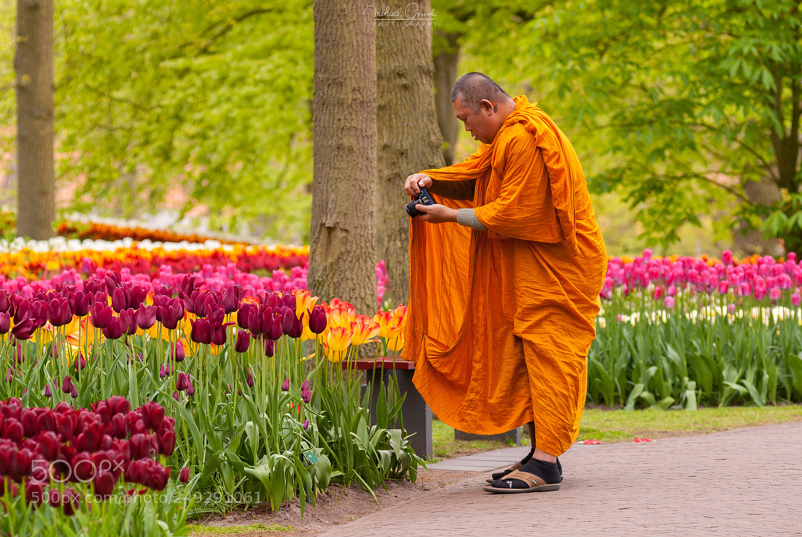 Nikon D200 sample photo. Keukenhof gardens photography