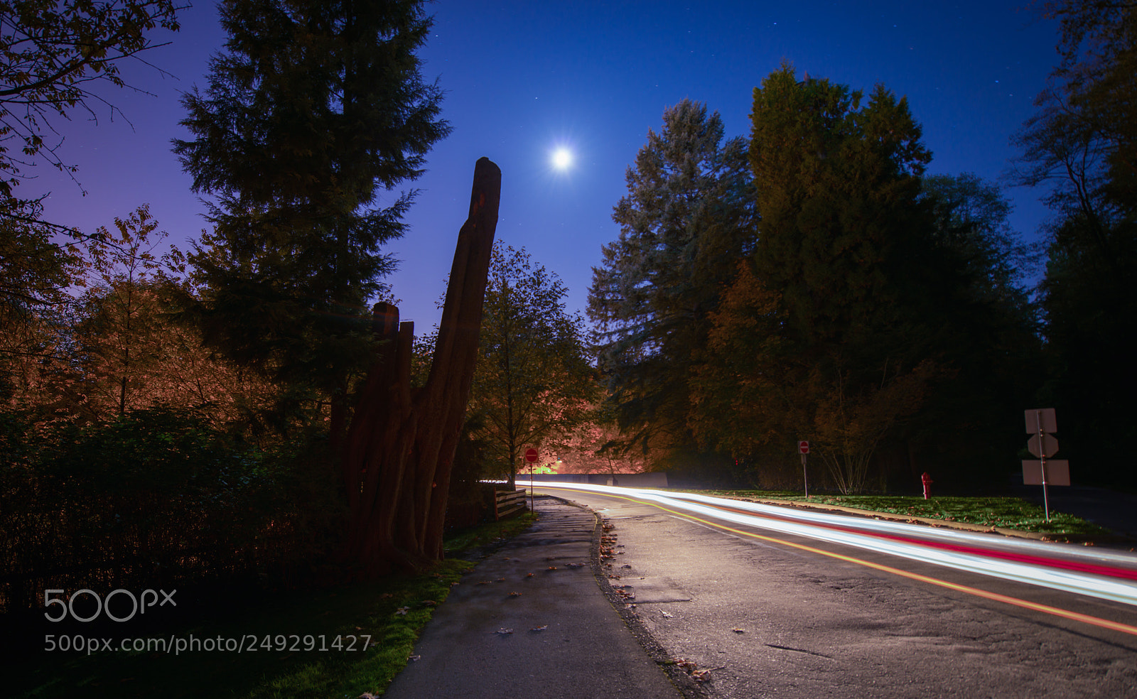 Nikon D800 sample photo. Moonlight drive photography