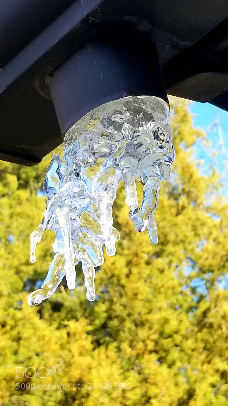 Samsung Galaxy S8+ sample photo. Icy day photography