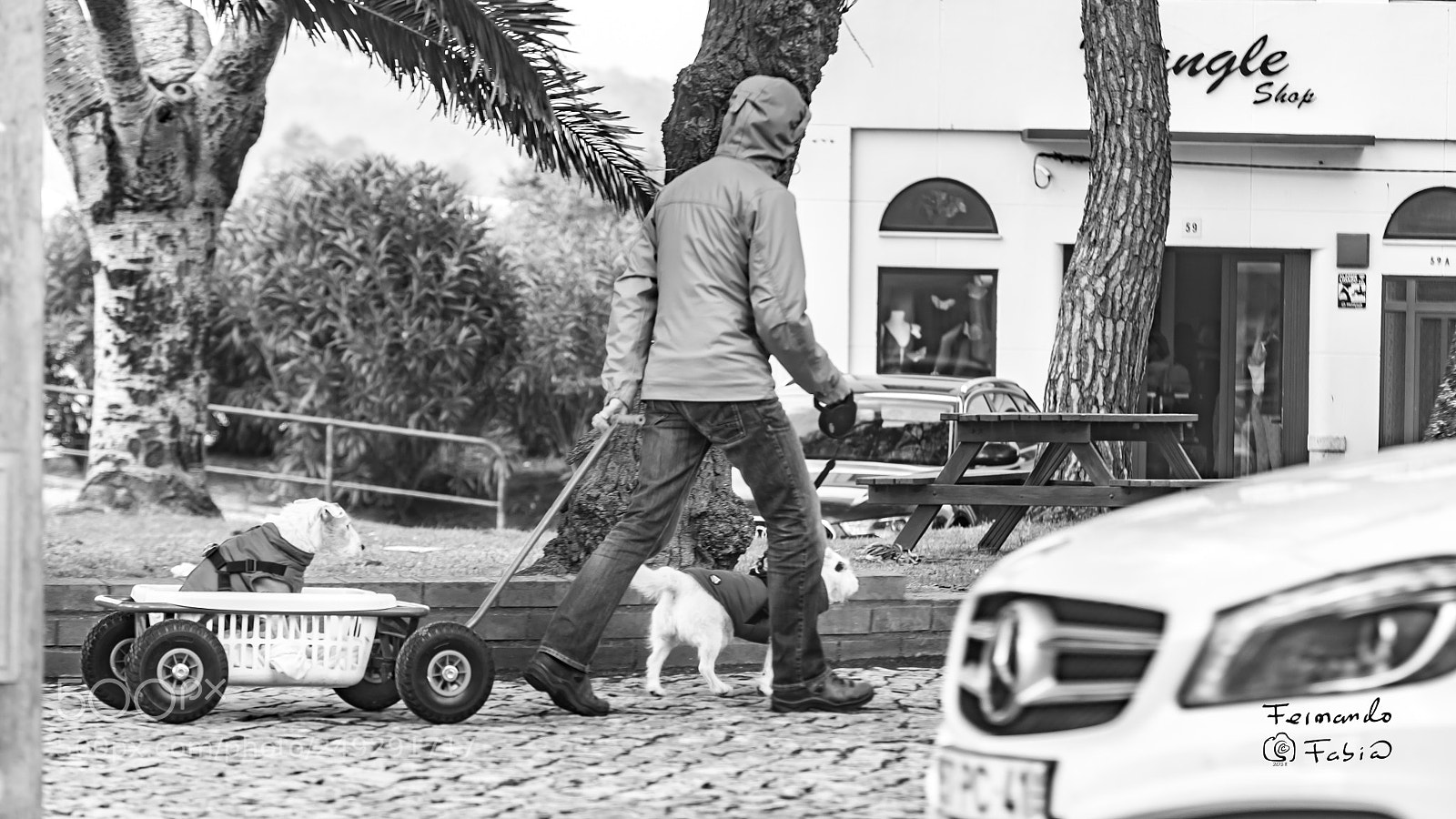 Nikon D800 sample photo. Humans project ... photography