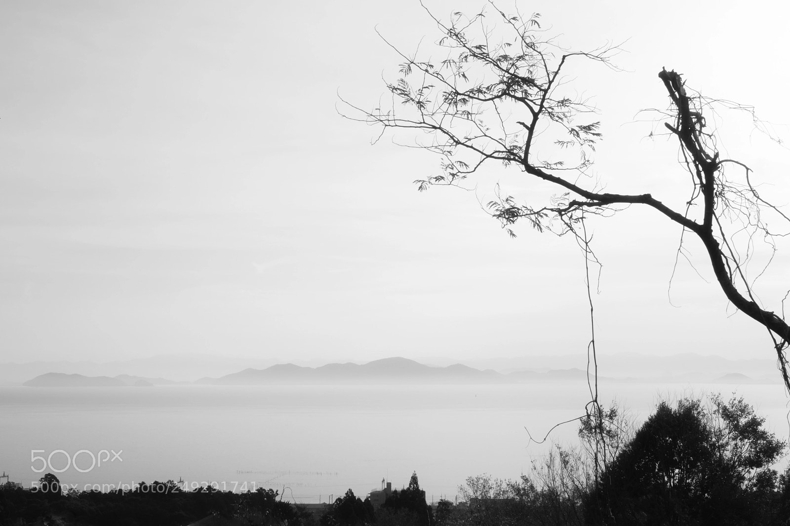 Fujifilm X-Pro2 sample photo. 琵琶湖の沖島 photography