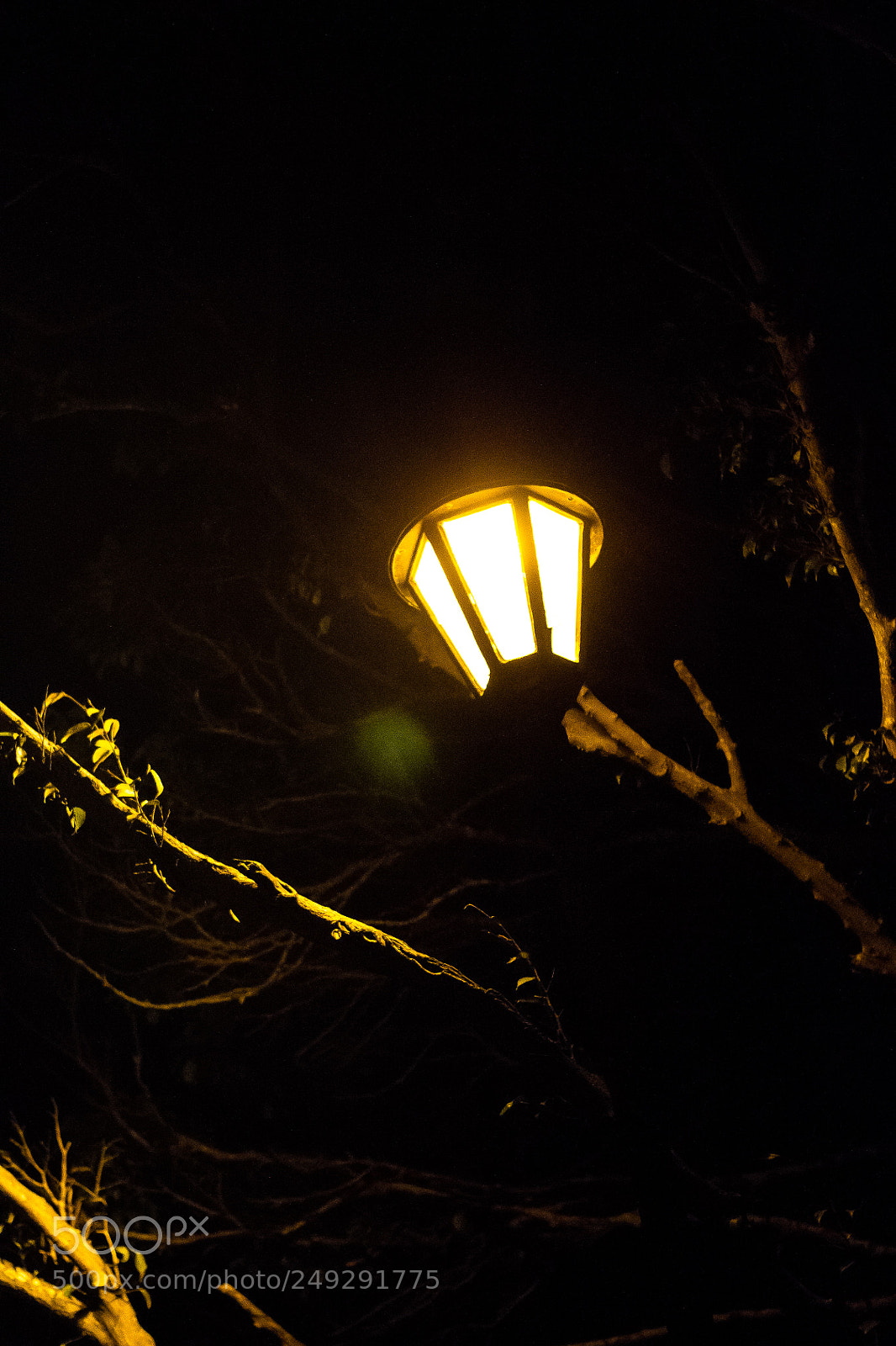 Canon EOS 1100D (EOS Rebel T3 / EOS Kiss X50) sample photo. Faroles luces en cartagena photography