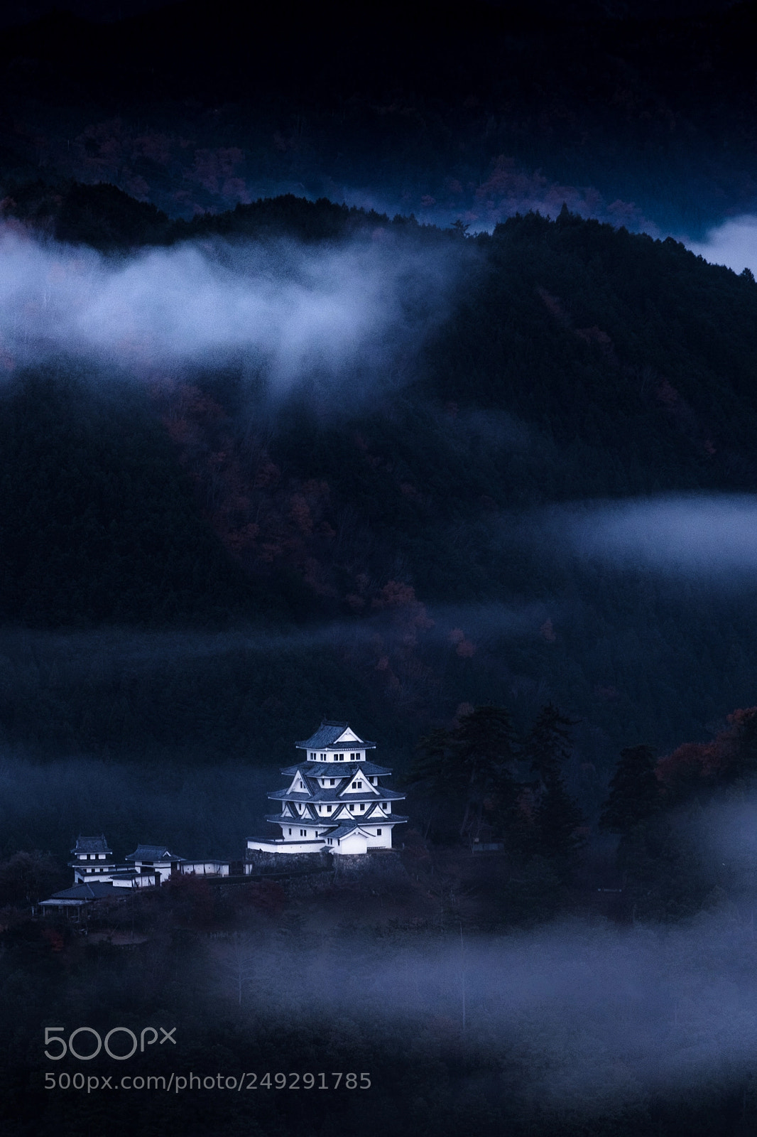 Fujifilm X-Pro2 sample photo. 郡上八幡城 photography
