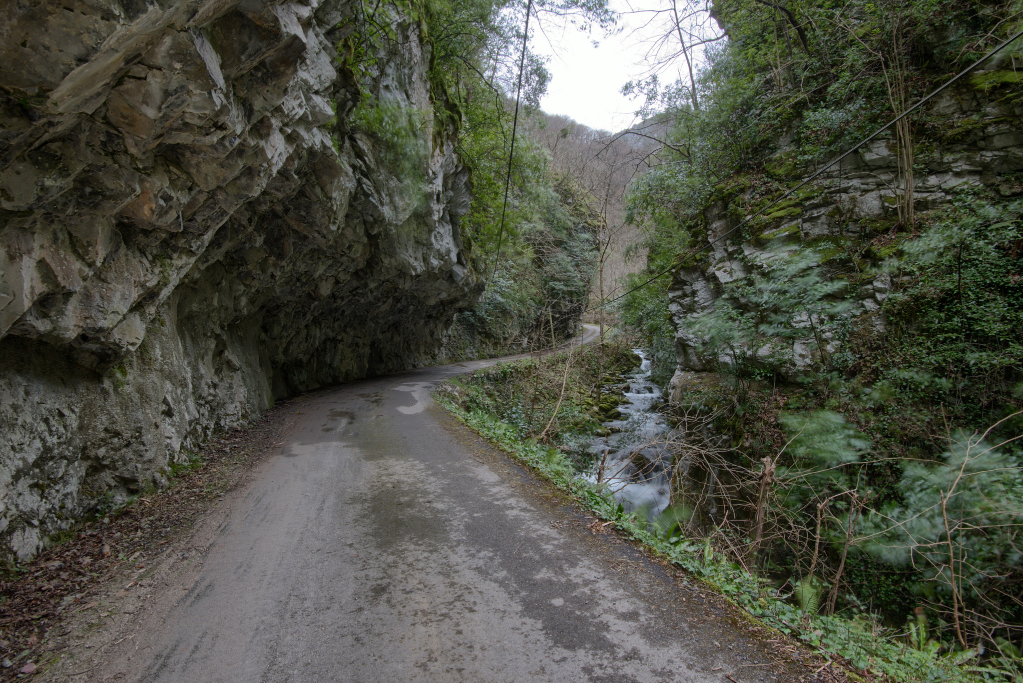 Nikon D810 + Nikon AF-S Nikkor 16-35mm F4G ED VR sample photo. Carretera a viboli photography