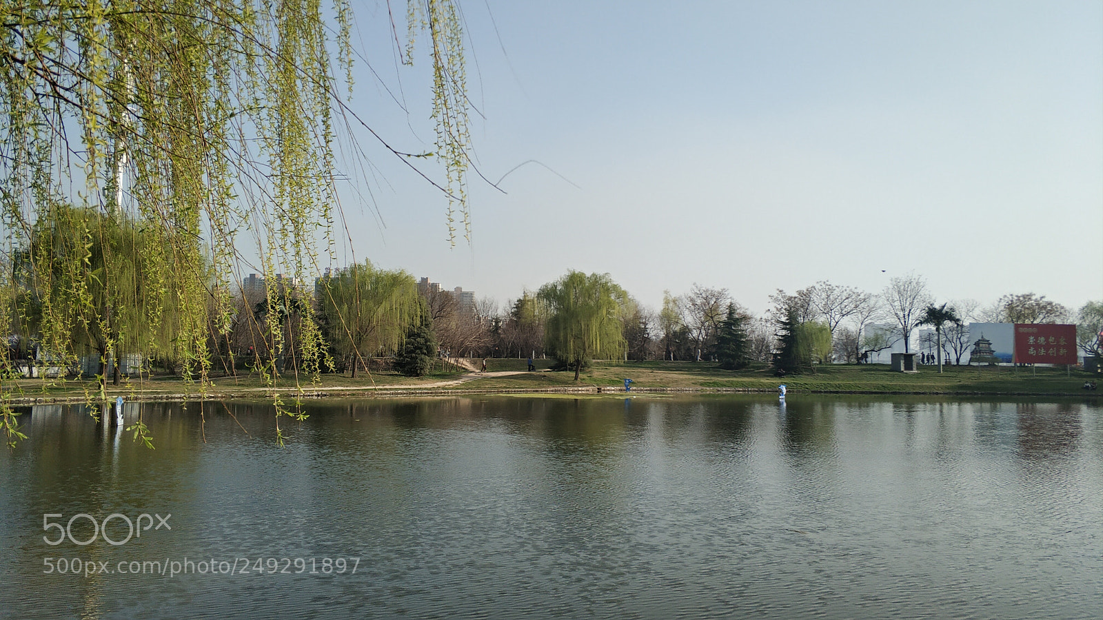 Xiaomi Mi Note 3 sample photo. Untitled photography