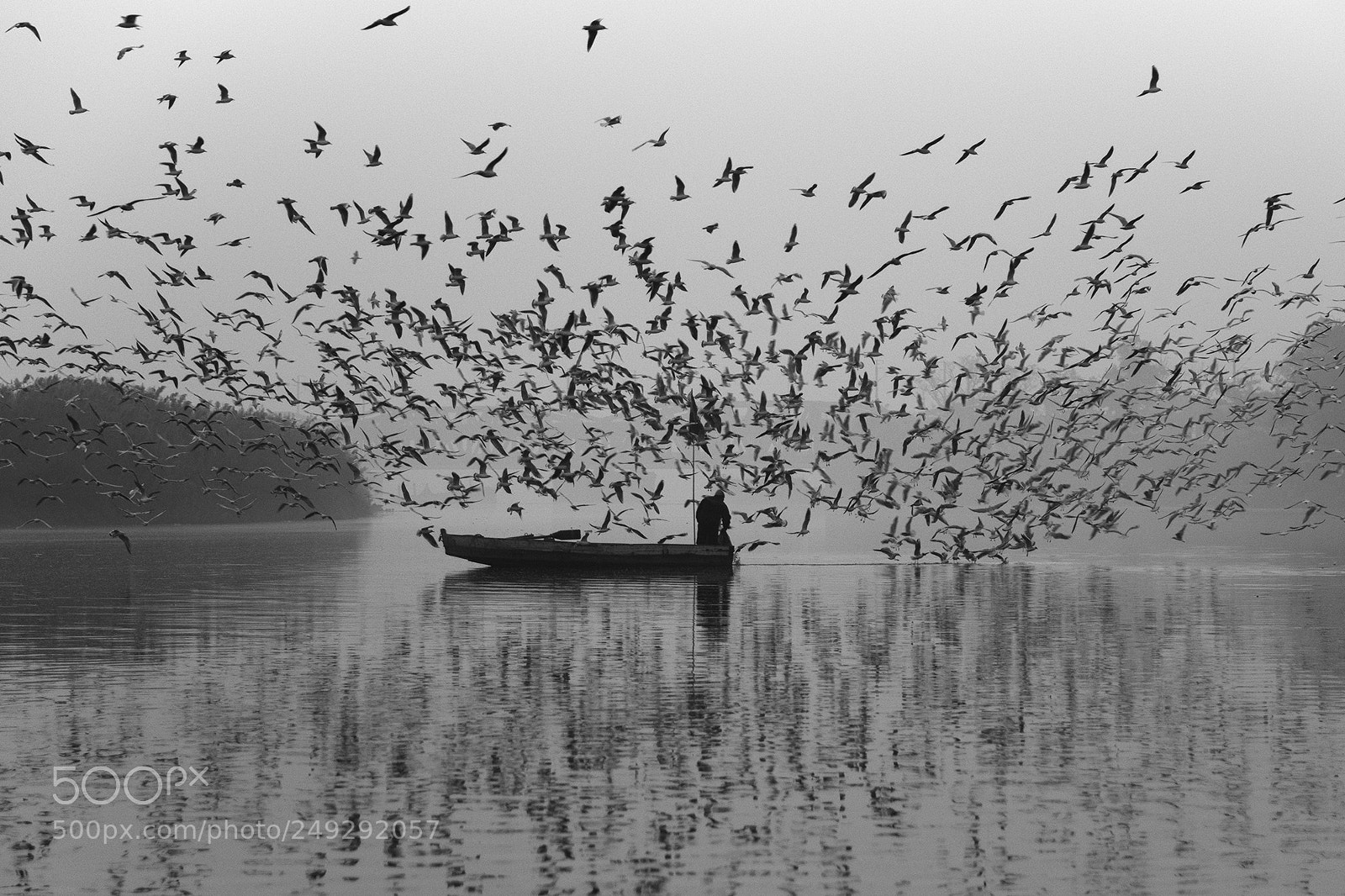 Nikon D810 sample photo. Morning ride with seagulls photography