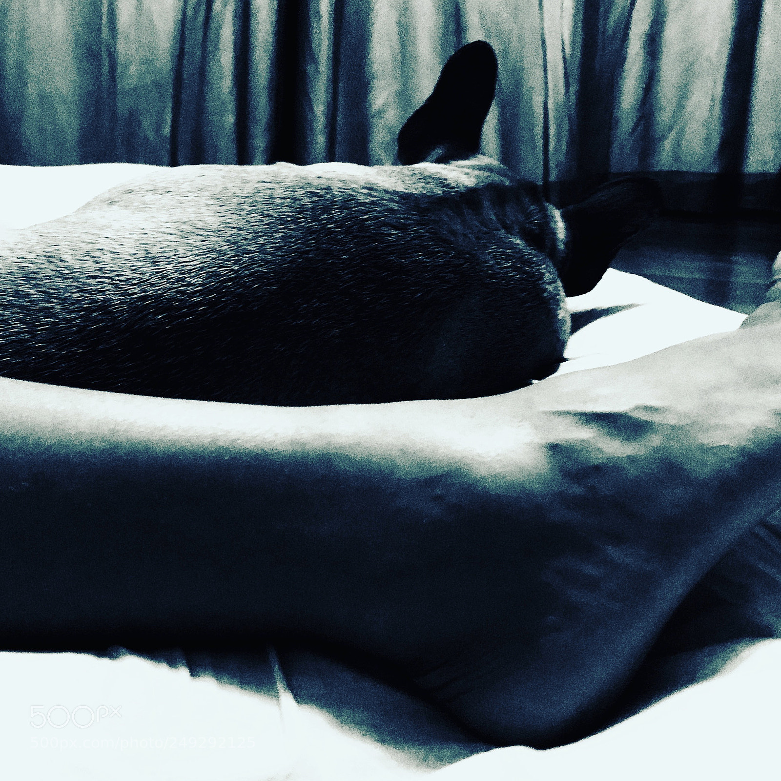 Apple iPhone X sample photo. I love sleeping together photography