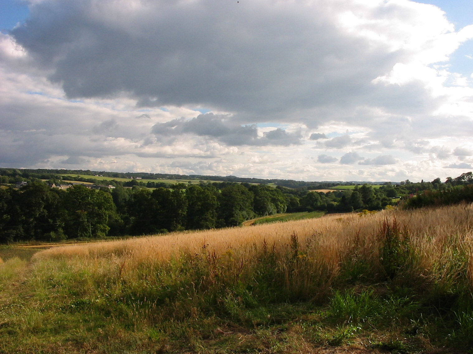 Canon POWERSHOT A60 sample photo. Roslin photography