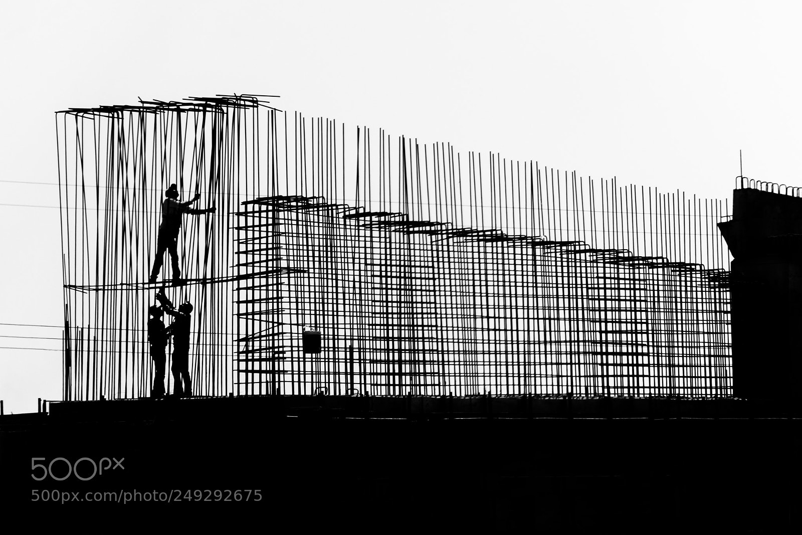 Nikon D7100 sample photo. Lines and lifes. photography
