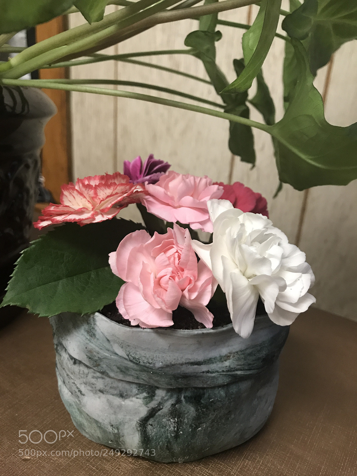 Apple iPhone 7 sample photo. Small flower pot cake photography