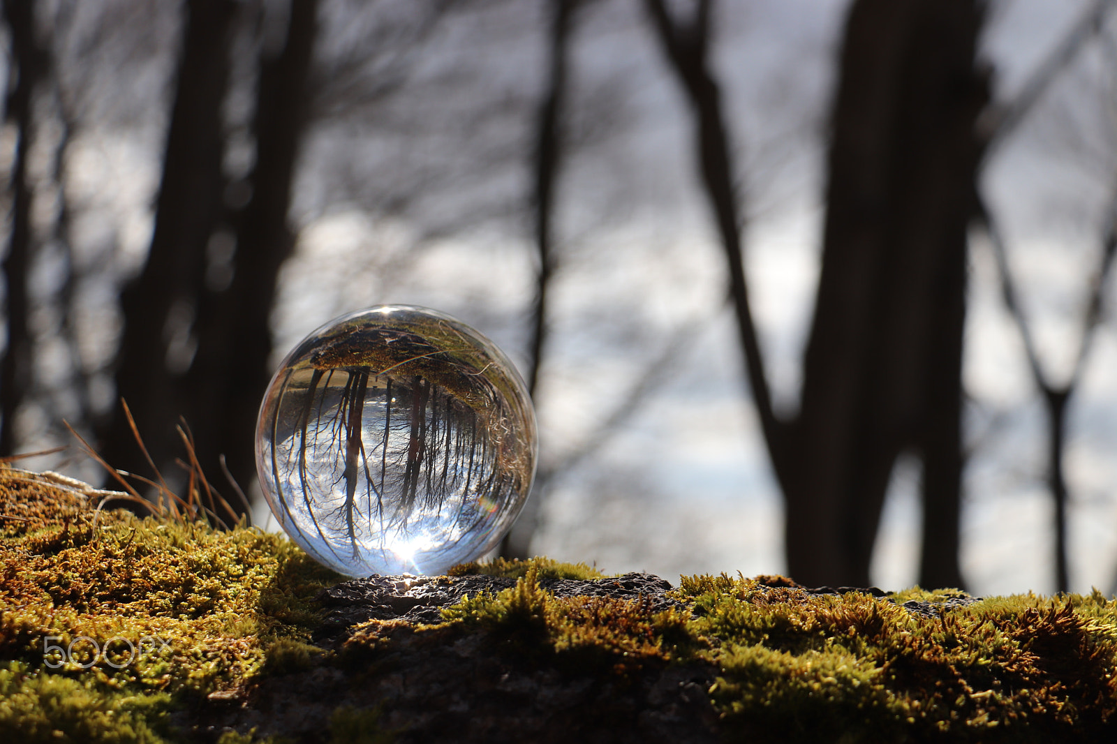 Canon EOS 77D (EOS 9000D / EOS 770D) sample photo. Happy pi-day photography