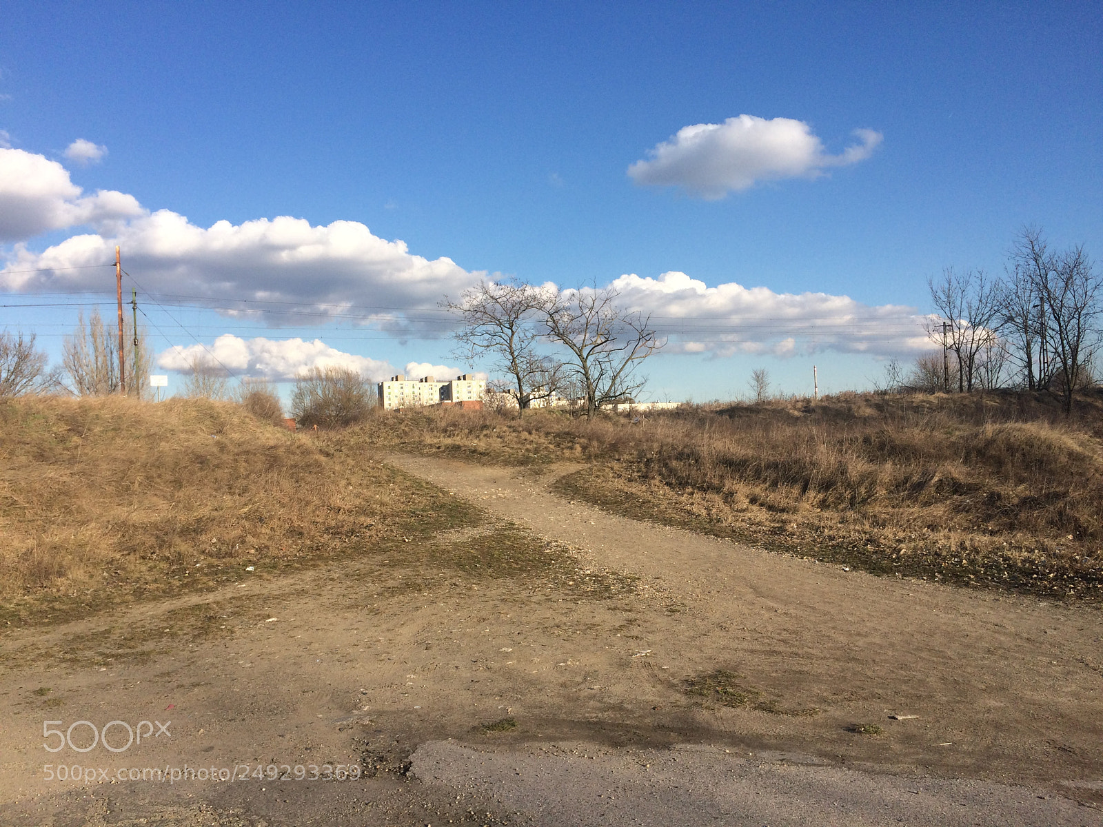 Apple iPhone 5s sample photo. Untitled photography