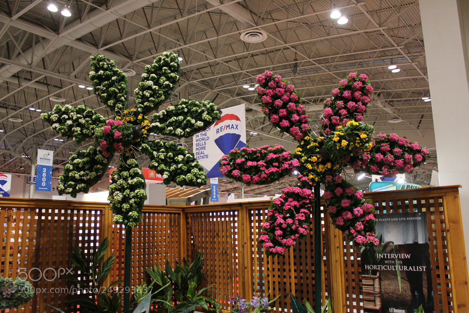 Canon EF-S 18-55mm F3.5-5.6 IS sample photo. Canada blooms 2018 toronto photography