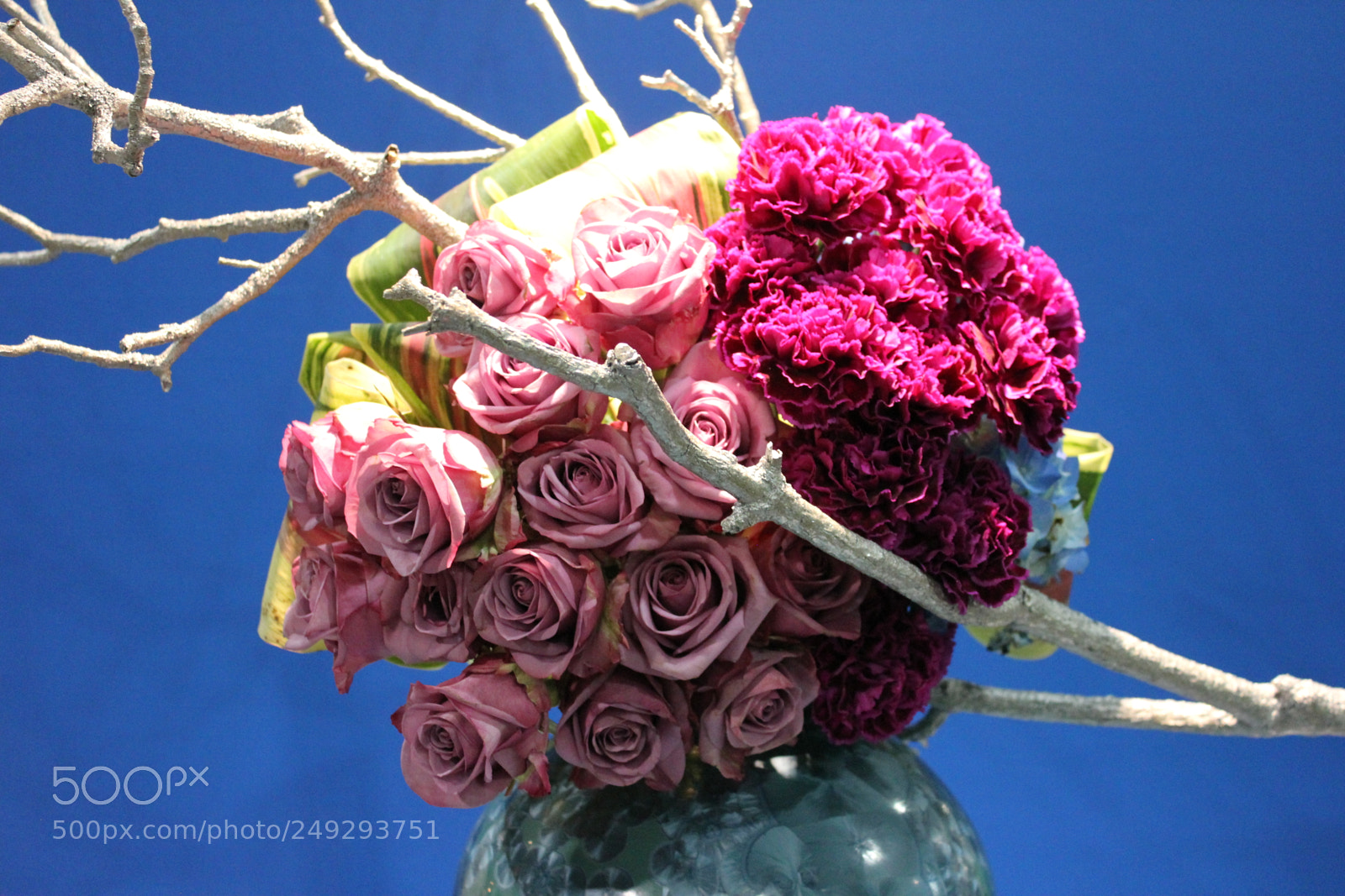Canon EF-S 18-55mm F3.5-5.6 IS sample photo. Canada blooms 2018 toronto photography