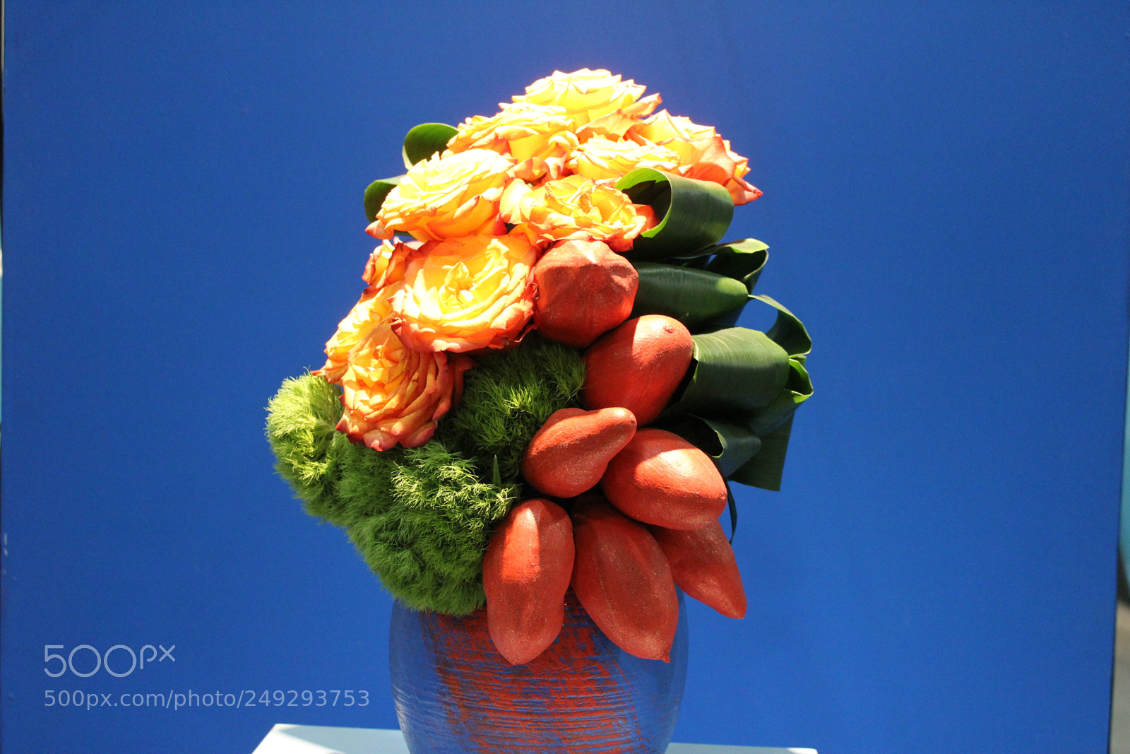 Canon EF-S 18-55mm F3.5-5.6 IS sample photo. Canada blooms 2018 toronto photography