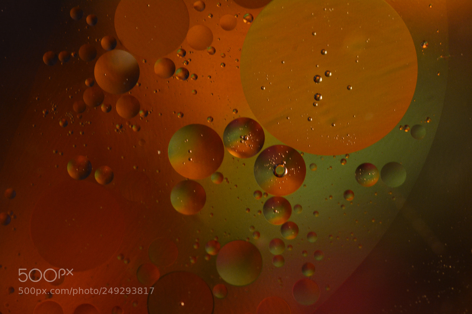 Nikon D5200 sample photo. Oil drops photography