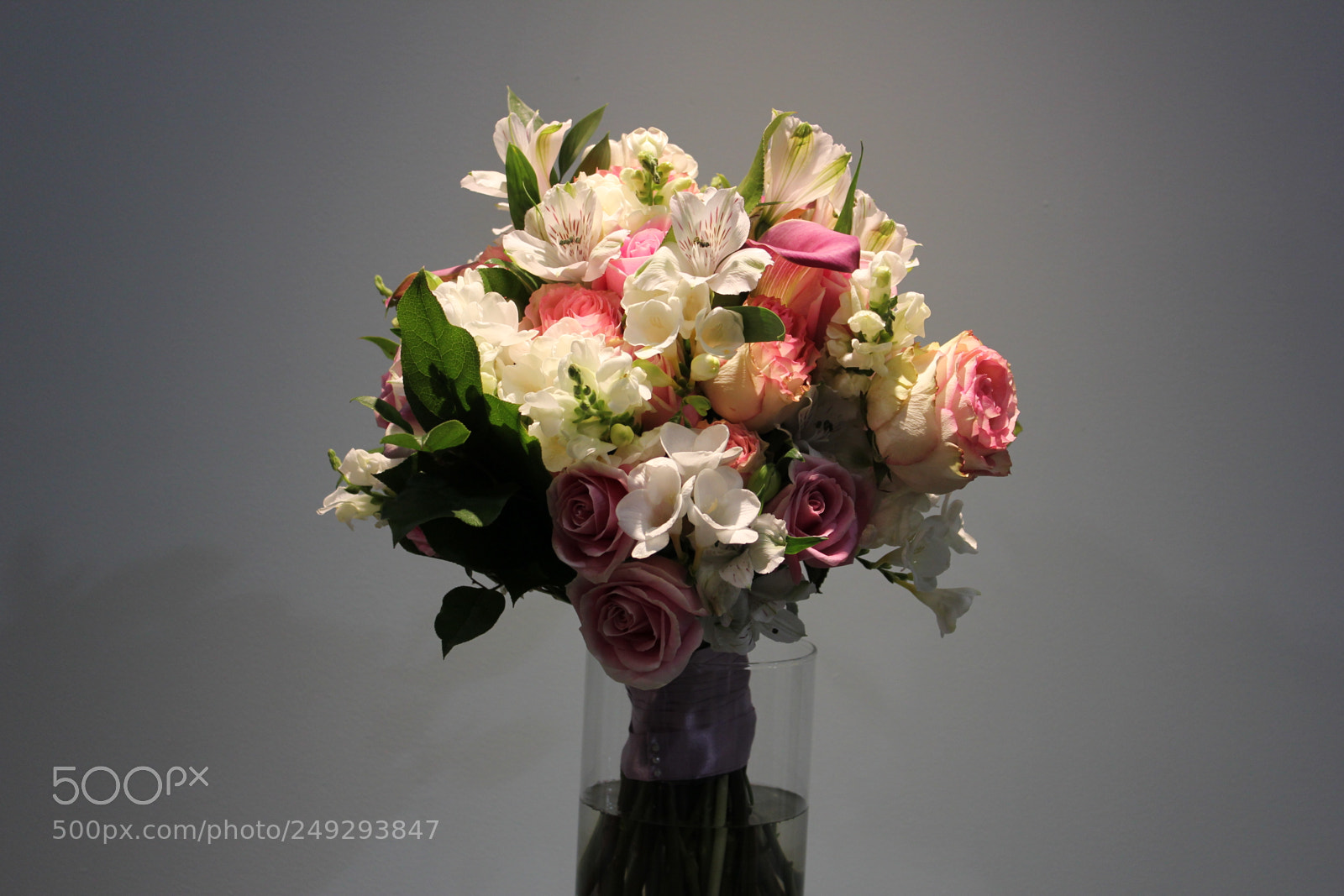 Canon EF-S 18-55mm F3.5-5.6 IS sample photo. Canada blooms 2018 toronto photography