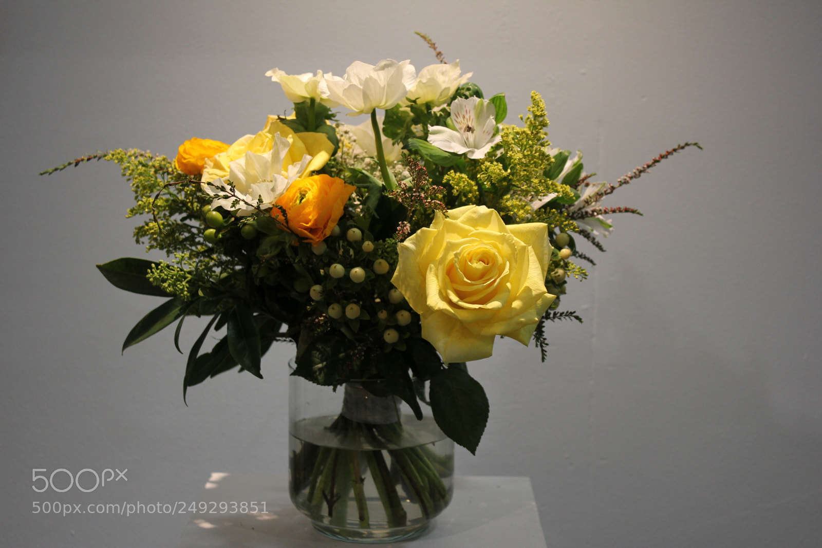 Canon EF-S 18-55mm F3.5-5.6 IS sample photo. Canada blooms 2018 toronto photography
